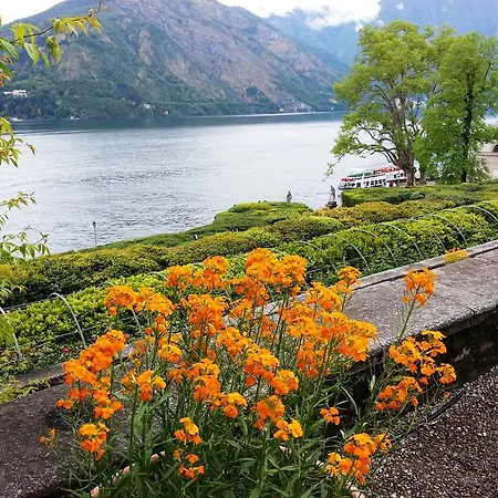 Lo Specchio Sul Lago *